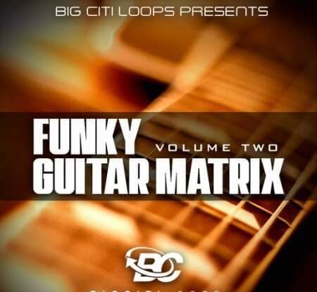 Big Citi Loops Funky Guitar Matrix Vol 2 WAV